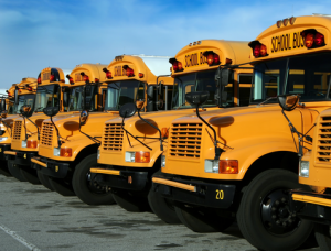 School buses