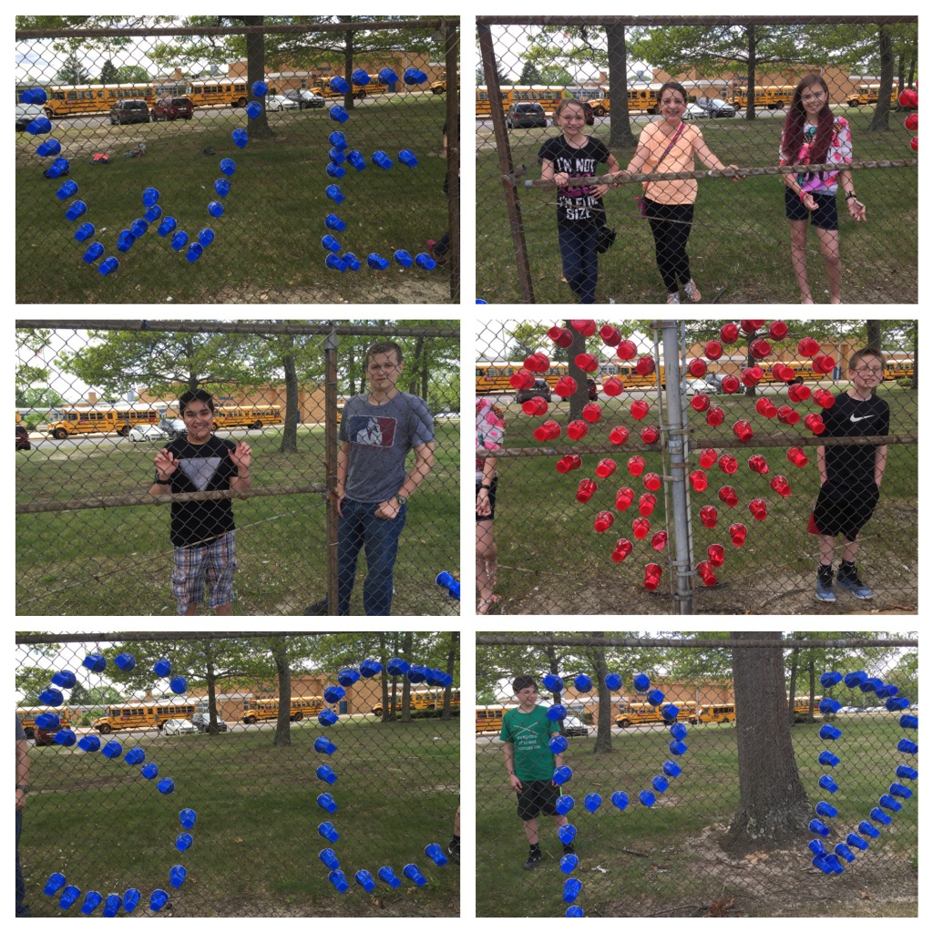 law enforcement 2015