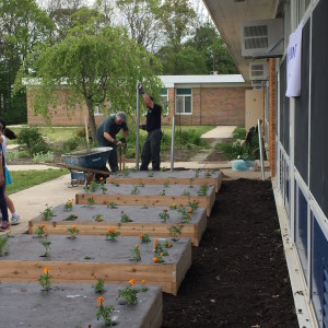 garden 4