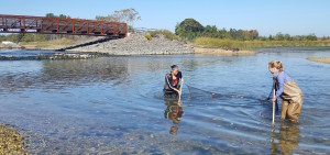 seining-1